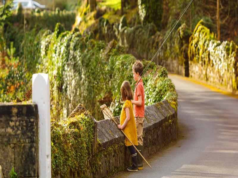 Ballynahinch Castle Hotel المظهر الخارجي الصورة