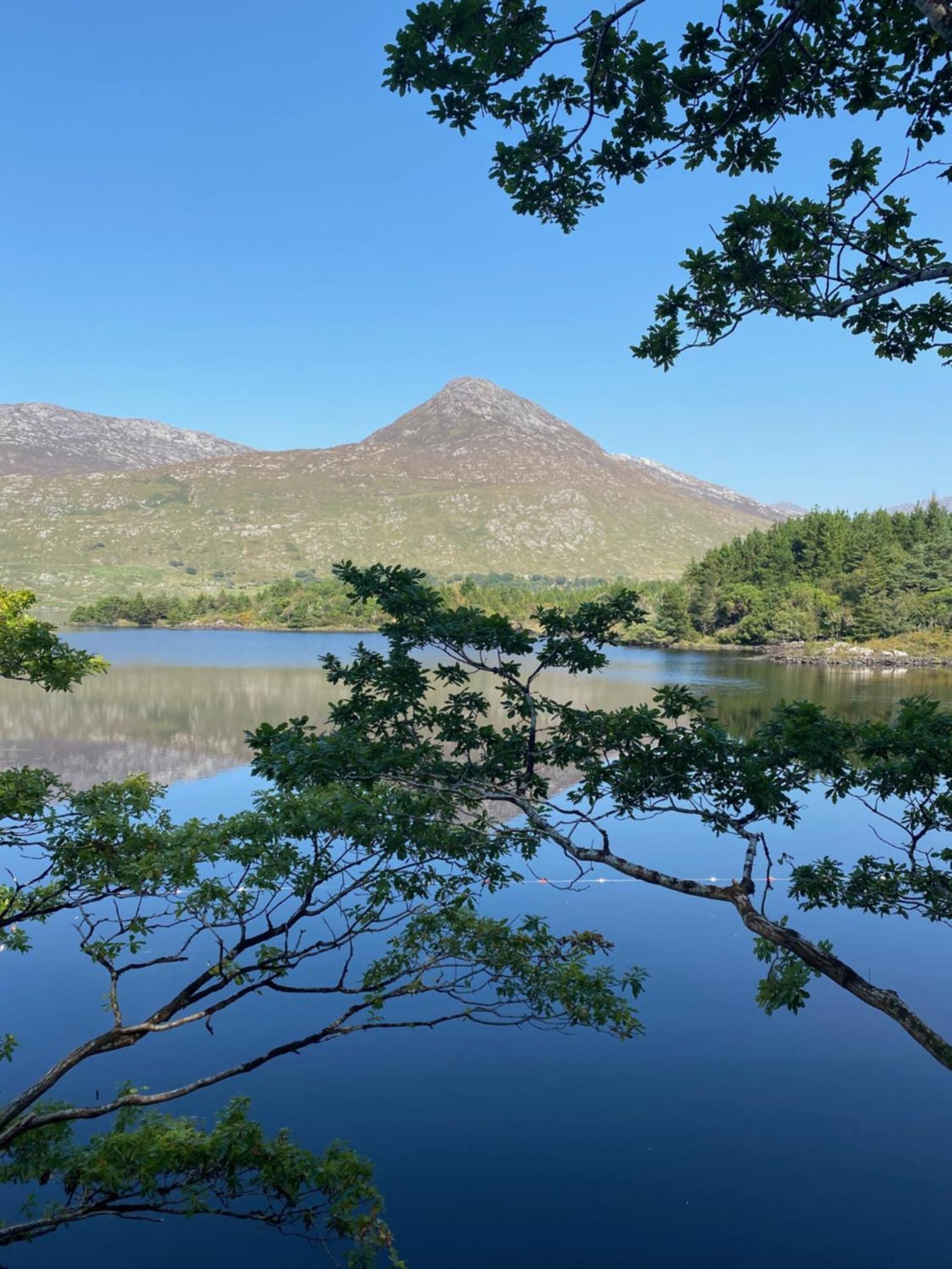 Ballynahinch Castle Hotel المظهر الخارجي الصورة