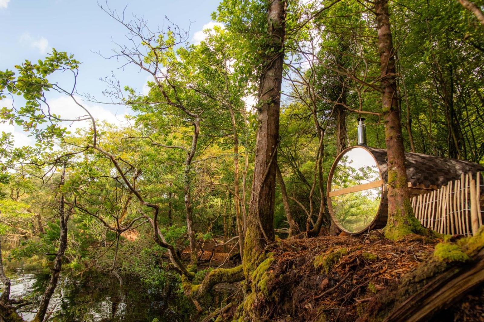 Ballynahinch Castle Hotel المظهر الخارجي الصورة